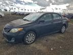 2013 TOYOTA COROLLA BA