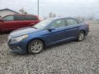 2016 HYUNDAI SONATA SE SE
