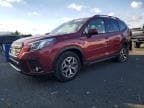 2023 SUBARU FORESTER P