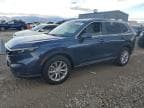 2023 HONDA CR-V EXL