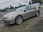 2004 NISSAN MAXIMA SE