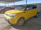 2014 KIA SOUL + +