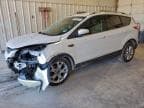 2015 FORD ESCAPE TIT TITANIUM