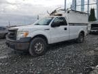2013 FORD F150