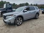 2025 HONDA PILOT EXL