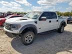 2013 FORD F150 SVT R
