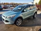 2013 FORD ESCAPE TIT