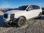 2022 KIA TELLURIDE