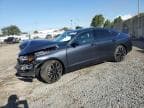 2023 HONDA ACCORD TOU