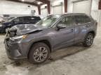 2025 TOYOTA RAV4 XLE P