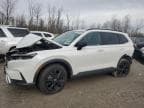 2023 HONDA CR-V SPORT
