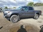 2019 TOYOTA TACOMA DOU