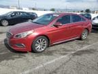 2015 HYUNDAI SONATA SPO SPORT