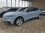 2025 FORD MUSTANG MA