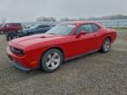 2012 DODGE CHALLENGER