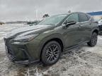 2023 LEXUS NX 350H