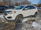 2019 FORD EDGE TITAN