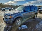 2012 FORD ESCAPE LIM