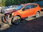 2016 TOYOTA RAV4 XLE XLE