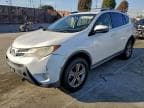 2015 TOYOTA RAV4 XLE XLE