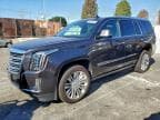 2016 CADILLAC ESCALADE P PLATINUM