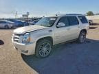 2013 CADILLAC ESCALADE P