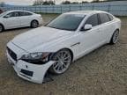 2017 JAGUAR XF PREMIUM PREMIUM