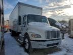 2019 FREIGHTLINER M2