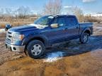2013 FORD F150 SUPER