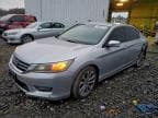 2013 HONDA ACCORD SPO