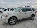 2012 FORD ESCAPE LIM
