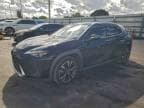 2020 LEXUS UX 200