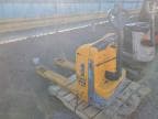 2020 OTHE PALLETJACK