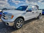 2014 FORD F150 SUPER SUPERCREW