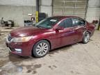 2014 HONDA ACCORD EX