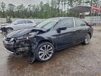 2013 HONDA ACCORD SPO