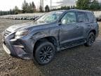 2022 LEXUS GX 460