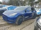 2020 TESLA MODEL Y