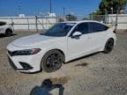 2022 HONDA CIVIC SPOR