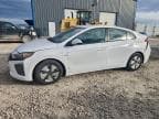 2019 HYUNDAI IONIQ BLUE