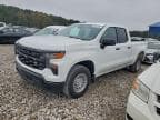 2023 CHEVROLET SILVERADO