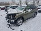 2024 SUBARU FORESTER P
