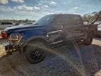2025 FORD F150 XLT