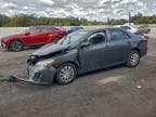 2013 TOYOTA COROLLA BA
