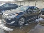 2014 HYUNDAI SONATA HYB HYBRID