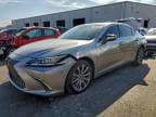 2020 LEXUS ES 350
