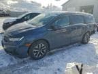 2025 HONDA ODYSSEY EX