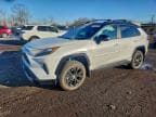 2025 TOYOTA RAV4 XSE