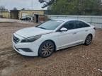 2016 HYUNDAI SONATA SPO SPORT