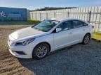 2016 HYUNDAI SONATA SE SE